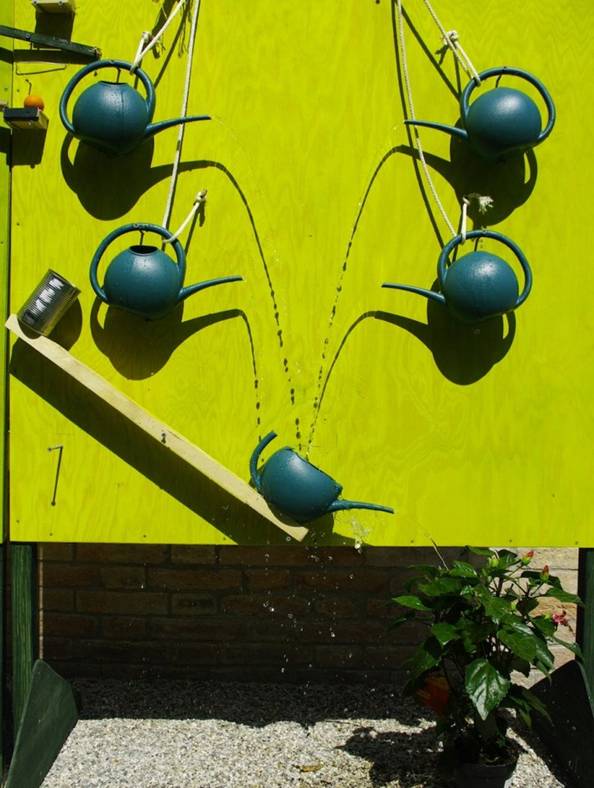 watering_biennial