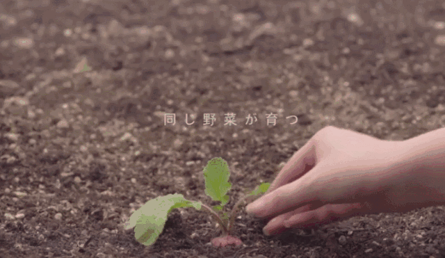 日本人真是会玩！仅用一招就把13亿吨烂蔬果变成了宝贝