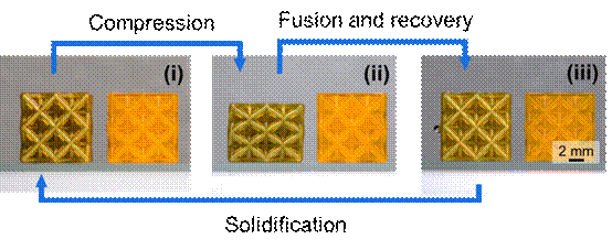 摩方nanoArch M160 科研级高精度微尺度3D打印系统